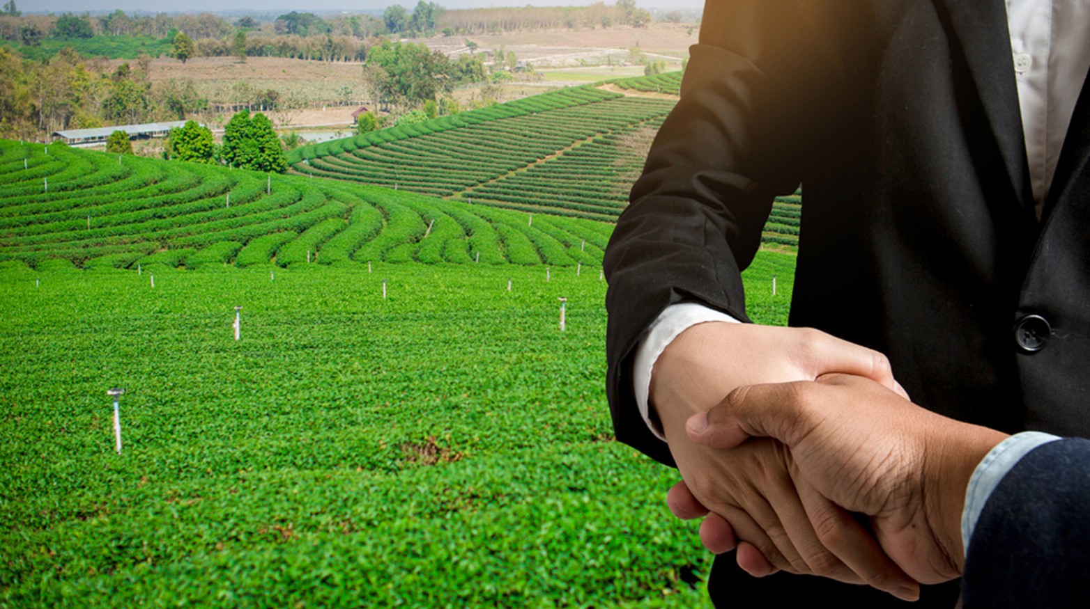 Жер қатынастары